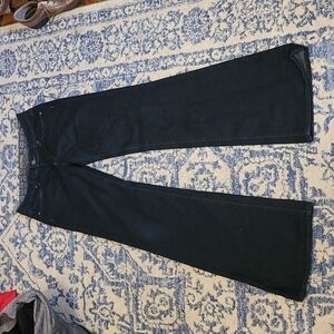 Paige sz 27 Robertson Flare jeans WJ20